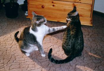 Quietsch und Ivan (Februar 2002)