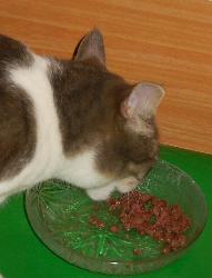 Quietsch fri&szlig;t B&auml;chle Herz (Dezember 2003)