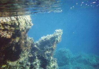 Das Meer - &Uuml;ber und unter Wasser