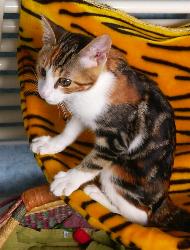 Charoula (Juni 2004)