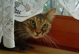 Agia Pelagia (Juni 2004)