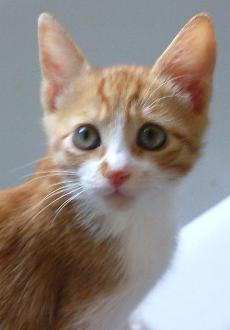 Mikis (September 2004)