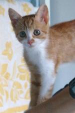 Mikis (September 2004)